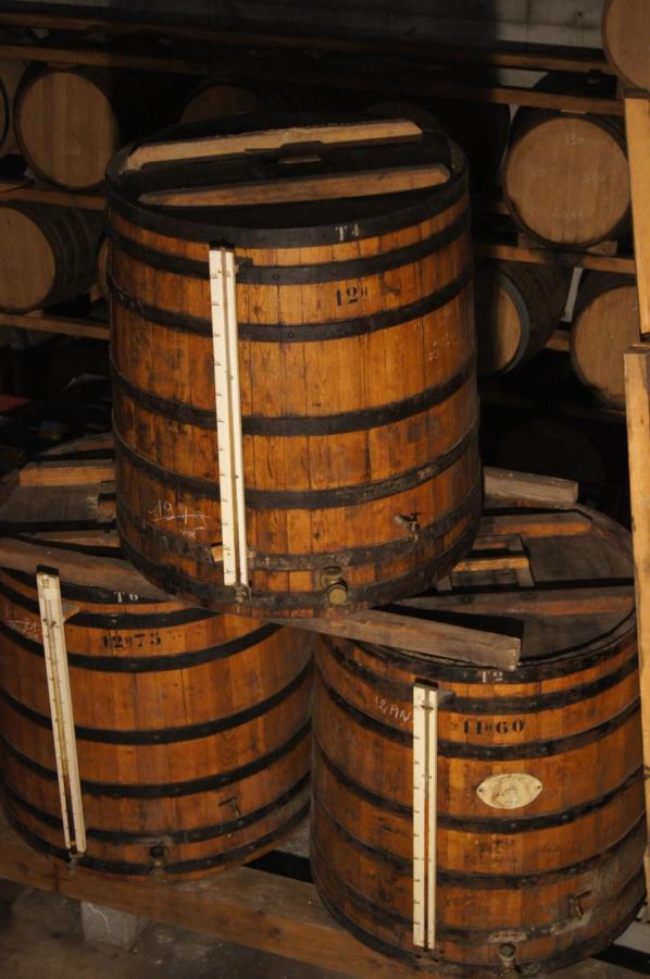 Caussens Chateau De Mons Armagnac מראה חיצוני תמונה