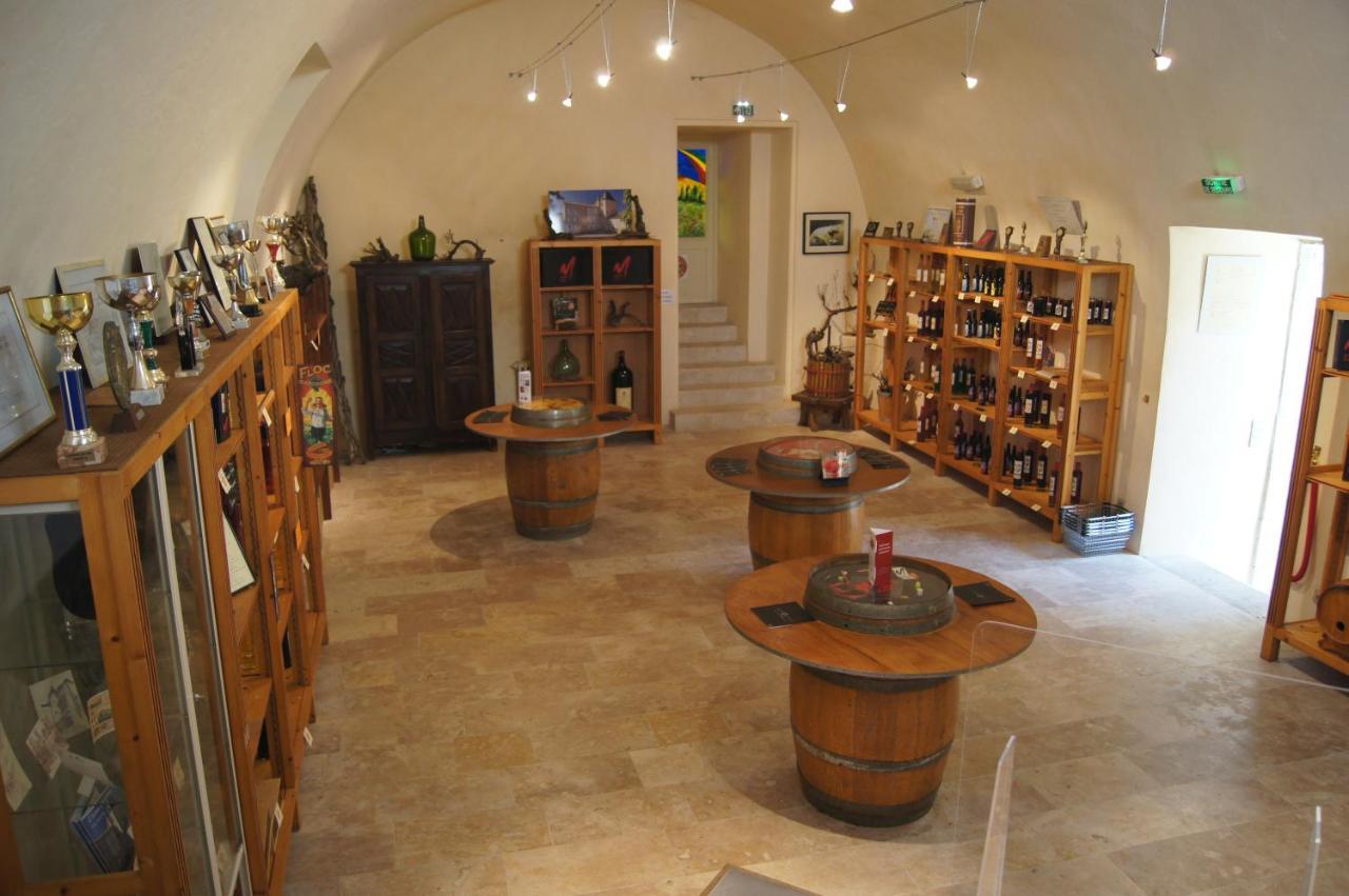 Caussens Chateau De Mons Armagnac מראה חיצוני תמונה