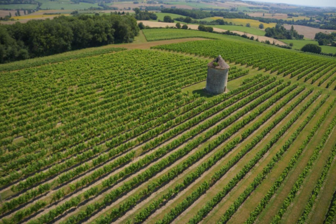 Caussens Chateau De Mons Armagnac מראה חיצוני תמונה